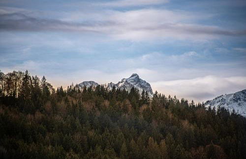 Bienenhaus #Bergblick im Sonnenhof - Foto 24