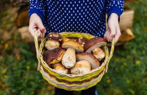 Mirador Rioja alta golf - Foto 43