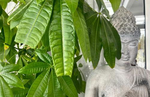 87029house - Photo 24