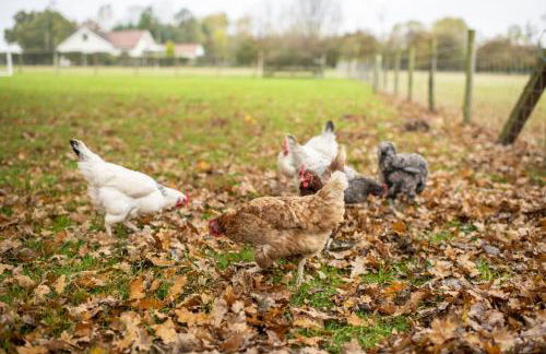 Tockwith Lodge Barn - Foto 41