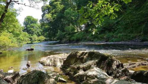 Quirky Cottage with Private Garden Nr New Quay Cardigan Bay - Foto 2
