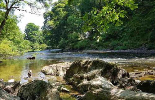 Quirky Cottage with Private Garden Nr New Quay Cardigan Bay - Photo 2