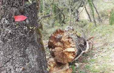 Georgia's Village House - Foto 52