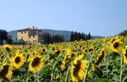 Agriturismo Palazzo Bandino - Wine cellar, on reservation restaurant and spa - Foto 17