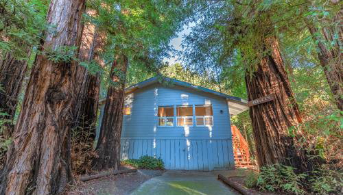 Aunt Ginnys River View - Photo 5, Other