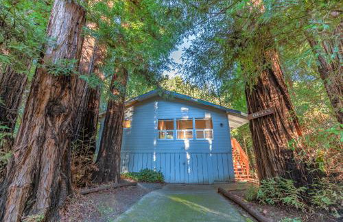 Aunt Ginnys River View - Photo 5