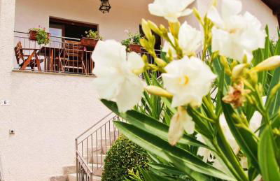 Isola Bella - Foto 43