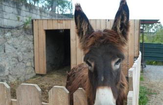 Quintinha de Sá - Foto 14