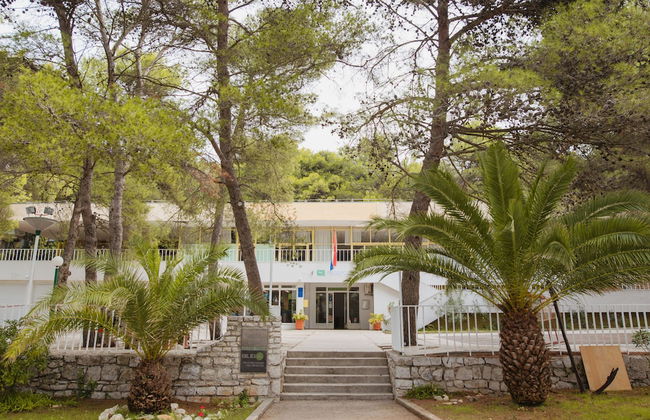 Zelena Punta - Foto 2