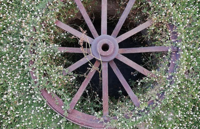 Il Poggiarello Toscano - Photo 29