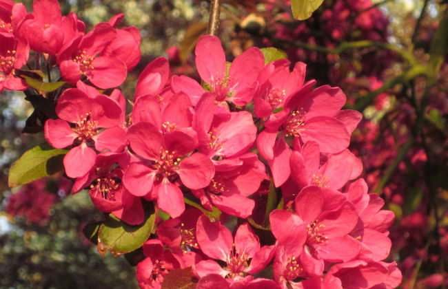 Colston Hall Cottages - Foto 54