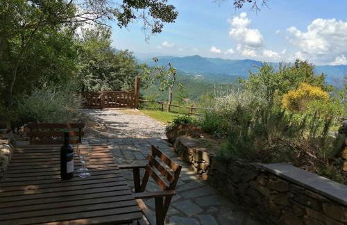 Cà di Viola - Foto 35