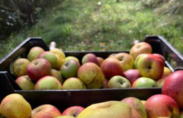 Agroturismo Urresti - Foto 65