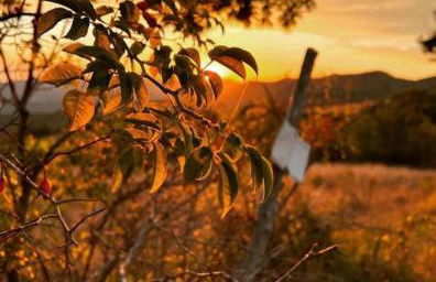 La Casa di Orazio - Foto 42