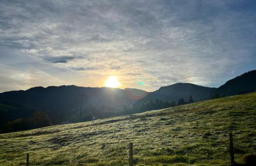 Studio Apartment Hochgratflair - Foto 1