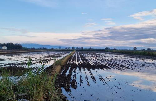 La Casita del Poble Nou del Delta - Foto 73