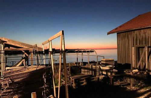 La cabane de Carol au coeur du bassin d'Arcachon - Foto 27