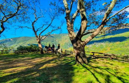 San Lorenzo Cottage - Παραδοσιακά Πέτρινα Δωμάτια - Άγιος Λαυρέντιος Πηλίου - Foto 39
