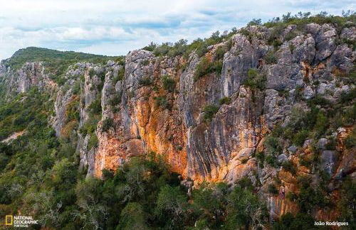Casa Cecilia Apartment Algarve - Foto 22