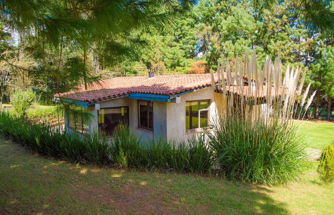 Cabañas San Marcos - Foto 18