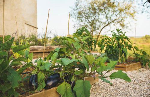 Casa rural Mas del Serranet - Foto 21