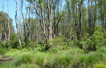 Ferienwohnungen Dünenmeer - Foto 56