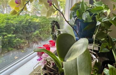 Spacious Ranch in a quiet area - Foto 7