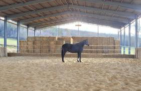 Falkenhof Meisdorf - Foto 26