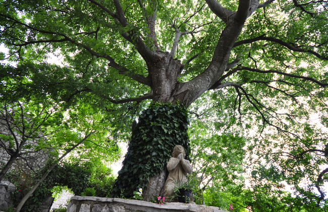 Podcempres - Foto 10