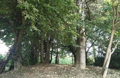 Gîte de la P'tite Rainette - Foto 21