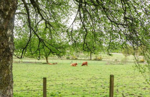 The Four Oaks Chalet - Foto 25