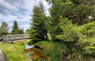 Appartement 13 im Haus Dreisessel - Foto 31