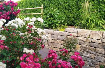 Tauberperle - Exklusives Ferienapartment - Foto 21