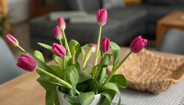 Ostsee Ferienwohnung Pelzerhaken - Foto 4