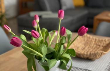 Ostsee Ferienwohnung Pelzerhaken - Foto 4