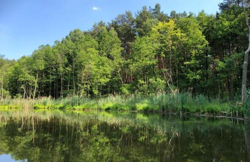 Las Biala's - Domki z sauną i jacuzzi w Puszczy Noteckiej - Tylko dla dorosłych - Foto 49