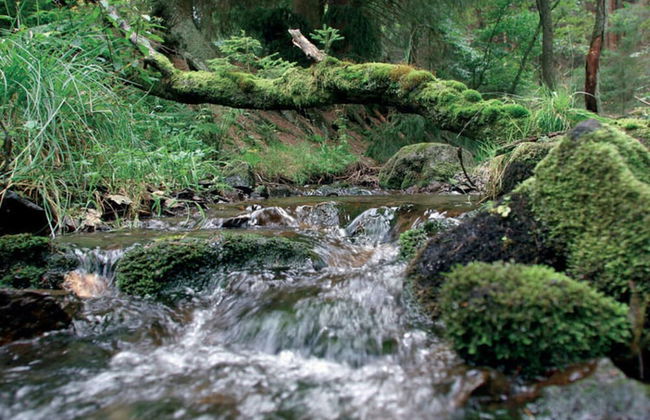 Holiday Home in Willingen-neerdar - Photo 30