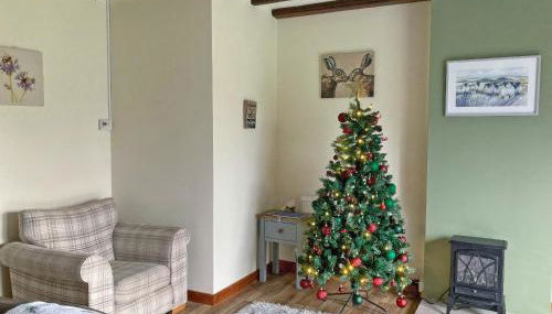 Towy Cottage - Uk49589 - Foto 3