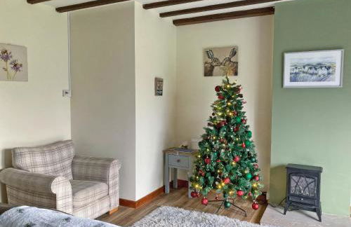 Towy Cottage - Uk49589 - Foto 3