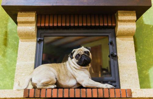 Apartamentos Rurales L´Abiseu - Photo 16