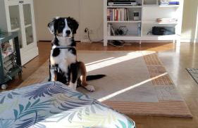 Haus am Hennesee - Foto 9