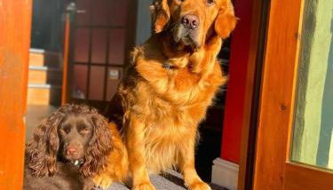 The Coach House - Photo 3