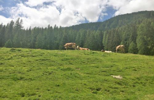 Sul cucuzzolo - Foto 58