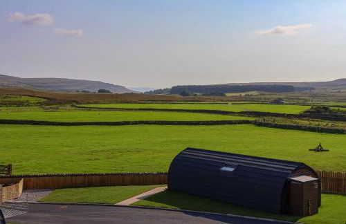 Woodpecker - Foto 17