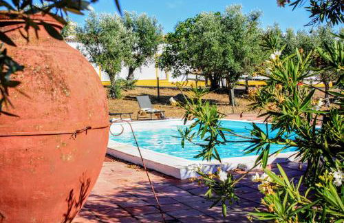 Monte da Tarouca no Alto Alentejo - Foto 16