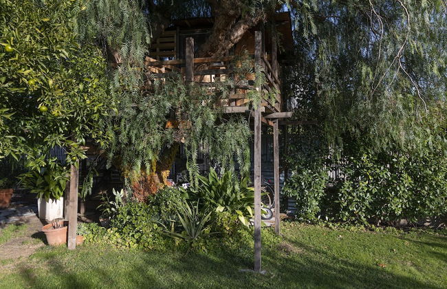 La Casetta Sull Albero 900m From the sea - Foto 27