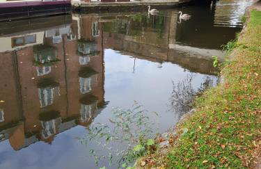 Chatterley House - Foto 135