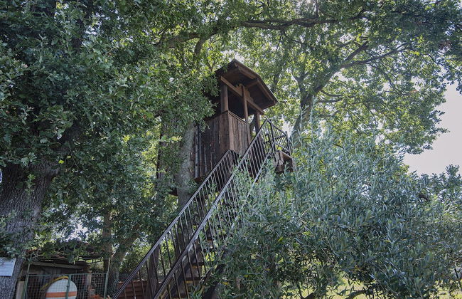 Modern Apartment in Pula With Swimming Pool - Foto 48