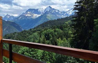 Appartement montagnard avec vue sur le Mont-Blanc - Foto 9