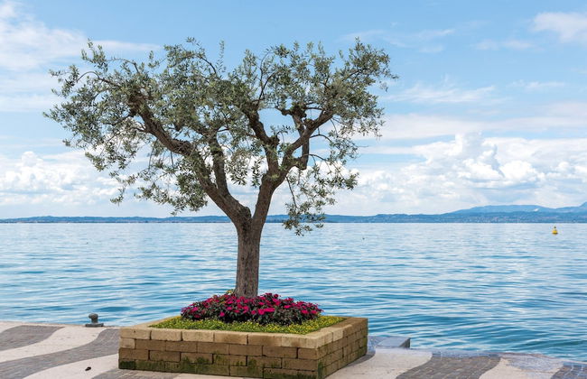 Holiday Home in Lazise Near Lake Garda - Foto 30